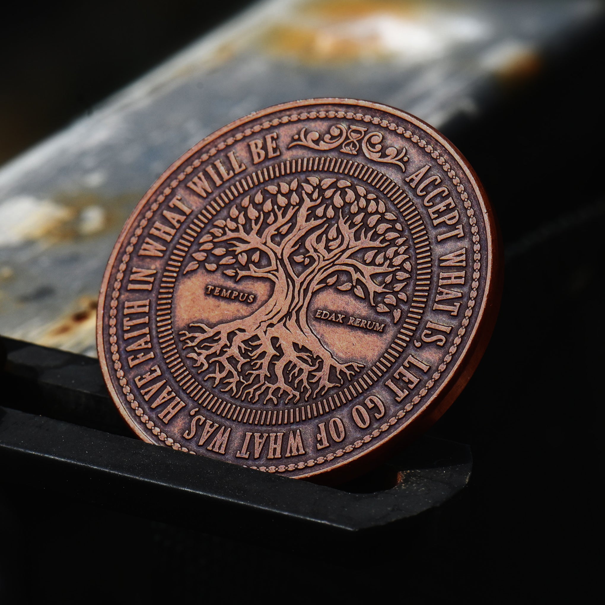 This Too Shall Pass Coin