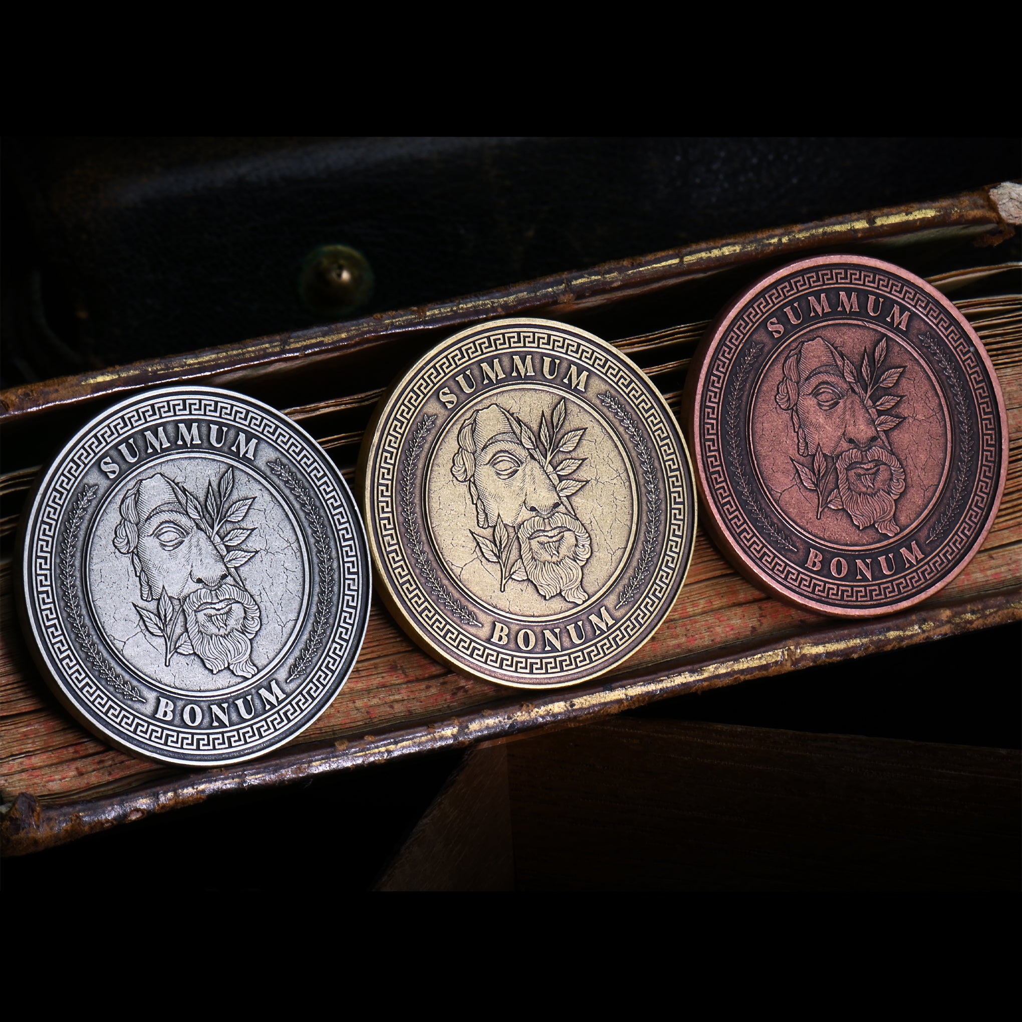 Stoic Virtues Coin